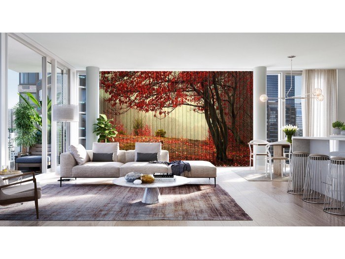 Фото щори Природа 98